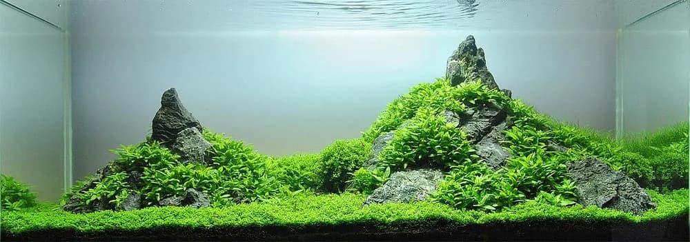 Hardscape at Vasundhara Nature Studio